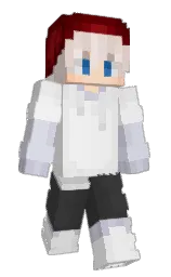 Minecraft skin — Classic model