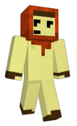 wild rice and bronze Minecraft skin — Classic model