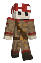 Skin preview