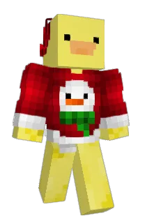 Front of Wooozee's skin