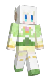 Skin preview