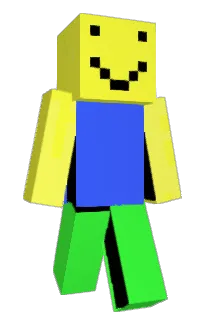 Front of hirf's skin