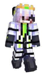 Back of Fatalerr0r_7's skin