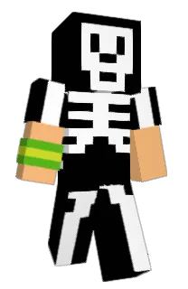 Front of LH_Player's skin