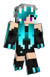 Skin preview