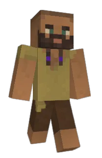 Front of Pamot's skin