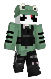 Skin preview