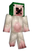Ninjaviggo11