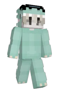 Front of zBix's skin