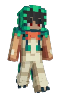 Front of Thimez's skin