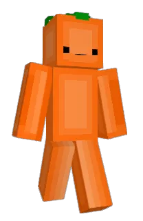 Front of lqft's skin