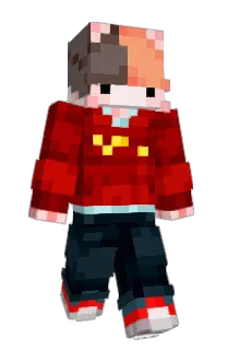 Front of Cheeezik's skin