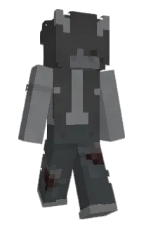 Front of mistics's skin