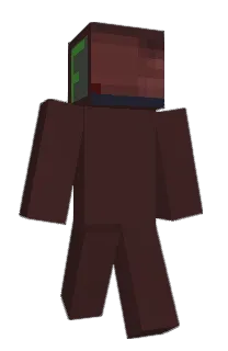 Front of 295's skin