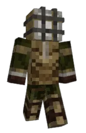 Skin preview