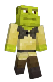 akineko13's Minecraft skin