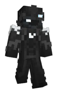 Front of Everydog's skin