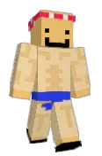 paradraft