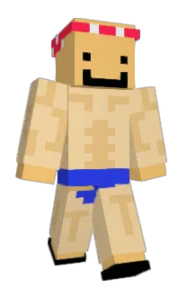 Front of paradraft's skin