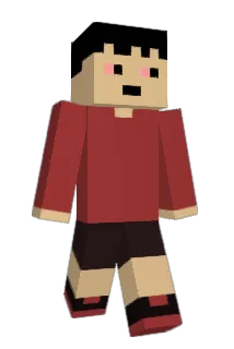 1benek Minecraft avatar full body