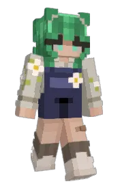 Skin preview