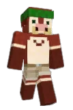 1boar Minecraft avatar full body
