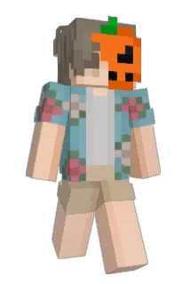 1bots Minecraft avatar full body