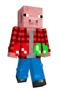 Cobus2222's Minecraft skin