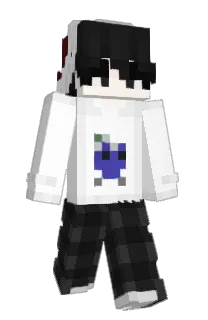 Front of 29_C1's skin