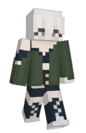Skin preview