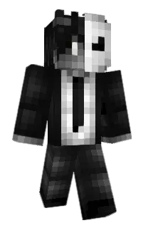 Front of DamiPhantom3's skin