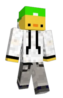 Front of NIX1722's skin