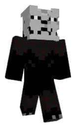 black and cod gray Minecraft skin — Classic model