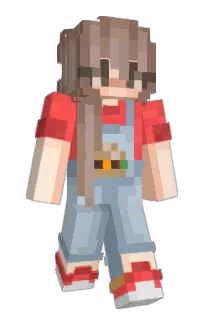 Front of BurgerOfTheDay's skin