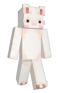 Front of MagnificentElf's skin