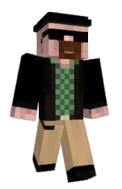 Skin preview