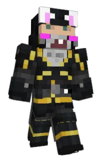 Front of KOGELVRIJEVESTEN's skin