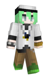 Front of Vlinx's skin