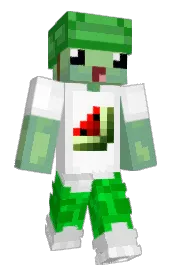 Skin preview