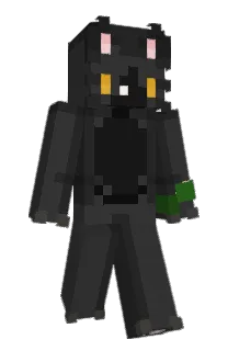 Front of BlockOliver1000's skin