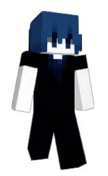 black and white Minecraft skin — Slim model — first worn by blaehen