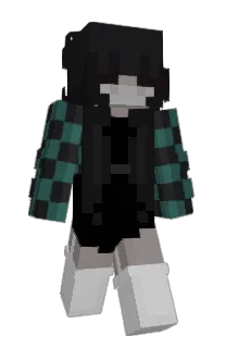 Front of fvsa's skin