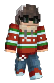 Front of dinidu's skin