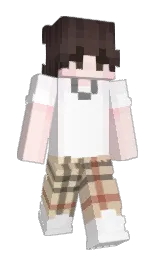 Slim Minecraft skin
