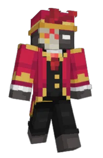 Front of promaster's skin