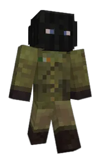 pgho's Minecraft skin
