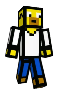 Front of TeamMakeAWish's skin