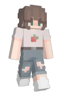 1c___22 Minecraft avatar full body