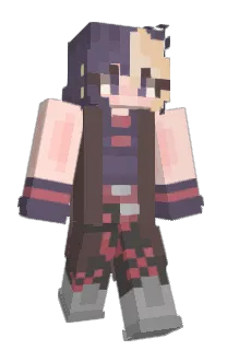 Front of hyewoniz's skin