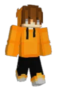 salmonmc
